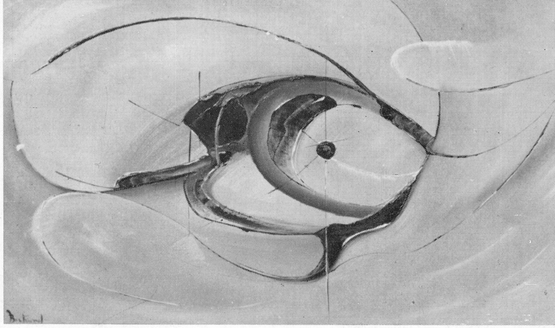Quadro Forme nello Spazio Olio su tela - Amleto Bertrand